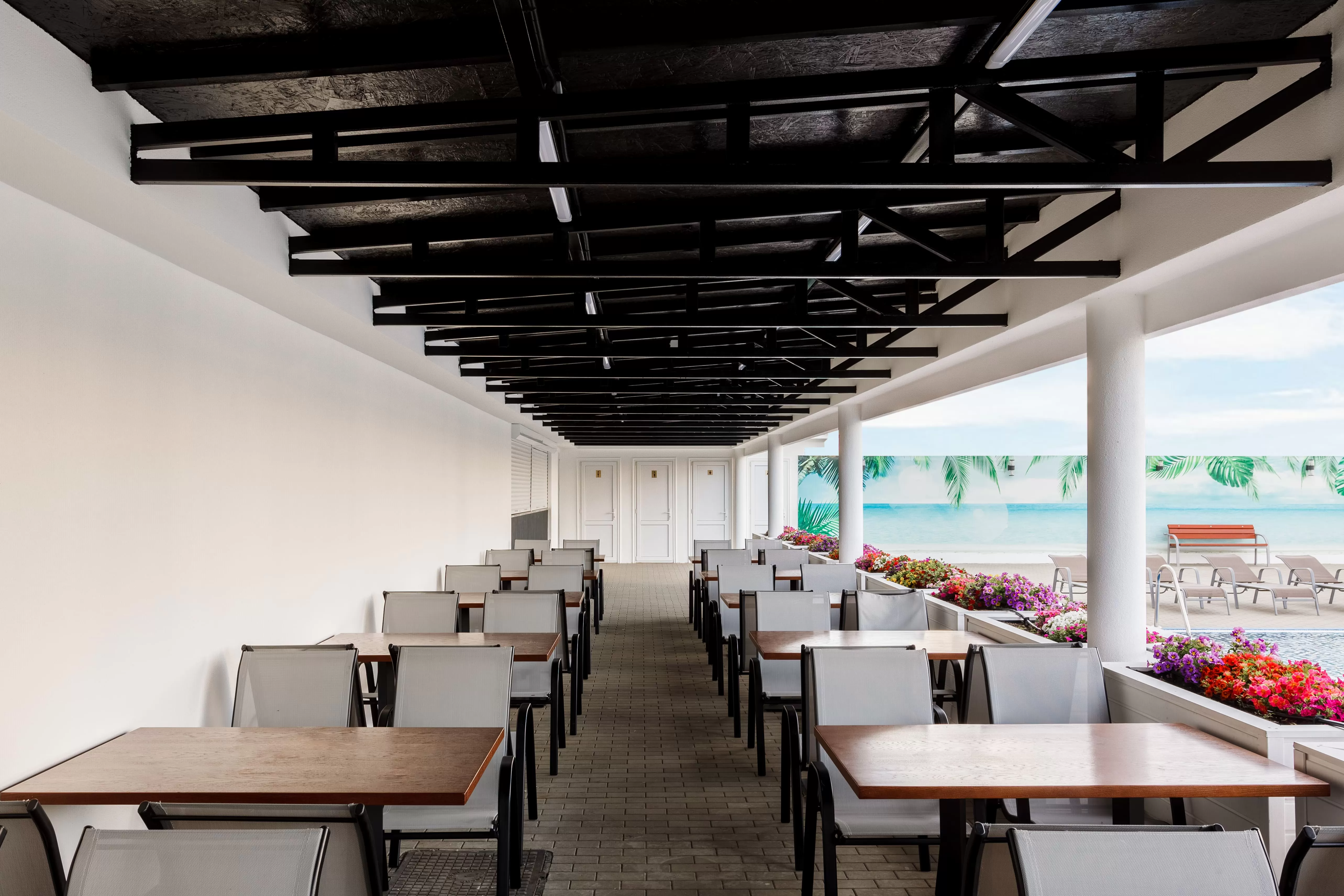 Cafe - Bar